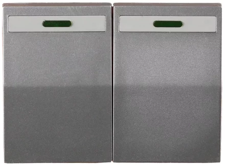 Выключатель СВЕТОЗАР &quot;ЭФФЕКТ&quot; двухклавишный, с эффектом свечения, без вставки и рамки, светло-серый металлик, 10A/~250B SV-54435-SM купить в Муравленко