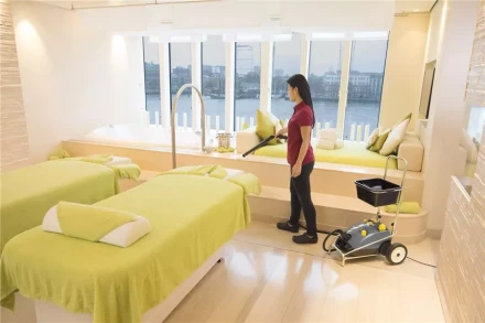 Пароочиститель KARCHER SG 4/4 профи купить в Муравленко