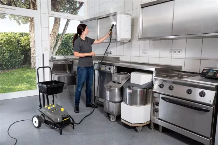 Пароочиститель KARCHER SG 4/4 профи купить в Муравленко