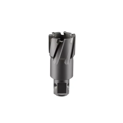 Сверло корончатое твердосплавное ALTECO TCT 28х35 82778