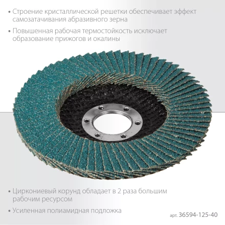 Круги лепестковые циркониевые торцевые 36594-125-40 купить в Муравленко