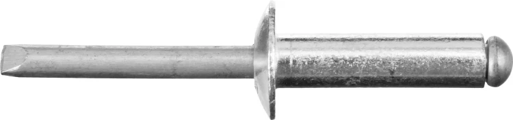 Заклепки PROFIX алюминиевые, 4,8х20мм, 500шт, STAYER Professional 31205-48-20 31205-48-20 купить в Муравленко