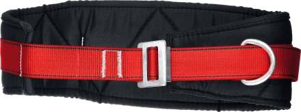 Удерживающая привязь 2 точки крепления серия Без серии 11582 купить в Муравленко