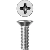 Винт ЗУБР "МАСТЕР" DIN 965, класс прочности 4.8, оцинкованный, M5x16мм, 5кг 303110-05-016