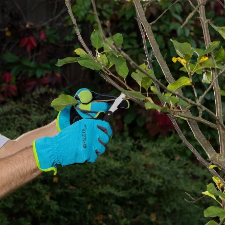 Нож садовый Palisad, 165 мм, складной, окулировочный, пластиковая рукоятка, 790547 купить в Муравленко