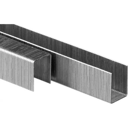 Скобы тип 80, 16 мм, особотвердые, ЗУБР &quot;ПРОФЕССИОНАЛ&quot; 31880-16, 5000 шт 31880-16 купить в Муравленко