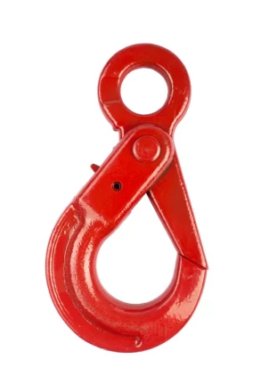 Крюк самозакрывающийся с проушиной TOR 5,3 т (W) 1046135 купить в Муравленко
