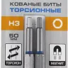ЗУБР Hex 3, 50 мм, 2 шт, торсионные биты, Профессионал (26017-3-50-2) купить в Муравленко