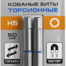 ЗУБР Hex 5, 50 мм, 2 шт, торсионные биты, Профессионал (26017-5-50-2) купить в Муравленко