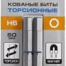 ЗУБР Hex 6, 50 мм, 2 шт, торсионные биты, Профессионал (26017-6-50-2) купить в Муравленко