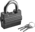 Замок навесной, дисковый механизм секрета, ВС2-23 37220-23 купить в Муравленко