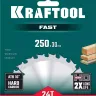 Диск пильный FAST, повышенный ресурс 36950-250-30 купить в Муравленко