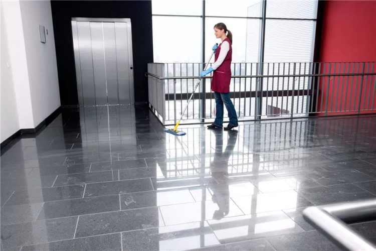 Средство для чистки поверхностей CA 30 C 1 л KARCHER купить в Муравленко
