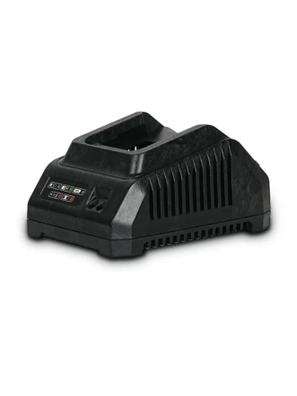 Зарядное устройство DWT CSP202008XS купить в Муравленко