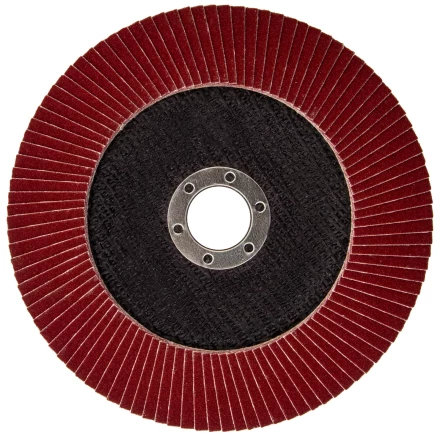 Круг лепестковый торцевой БАЗ КЛТ-1, зернистость Р 120(10Н), 150 х 22.2 мм,  Россия 74023 купить в Муравленко