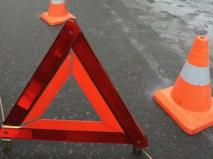 Знак аварийной остановки в кейсе STELS 54914 купить в Муравленко