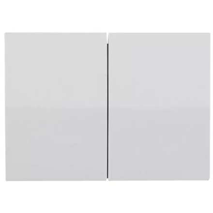 Выключатель СВЕТОЗАР &quot;ЭФФЕКТ&quot; двухклавишный, без вставки и рамки, цвет светло-серый металлик, 10A/~250B SV-54434-SM купить в Муравленко